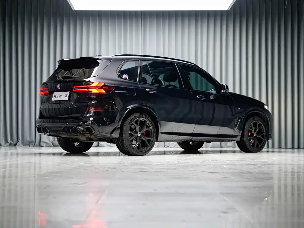 BMW X5 — миниатюра 10