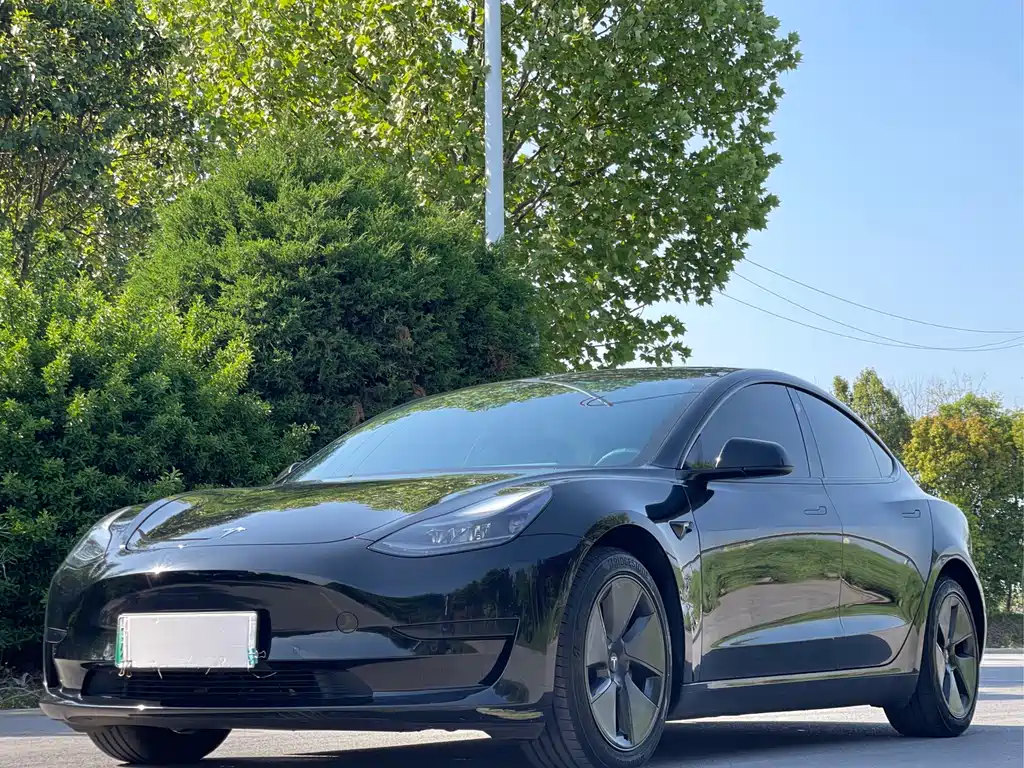Tesla Model 3 2021