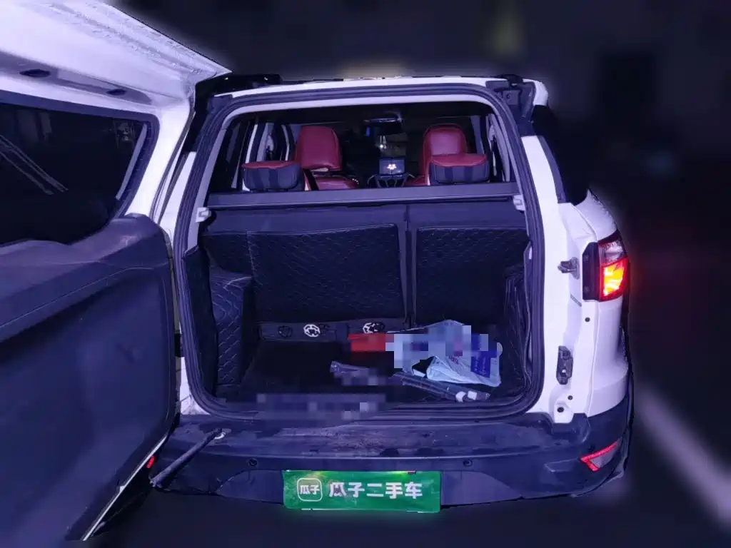 Ford Ecosport — миниатюра 20