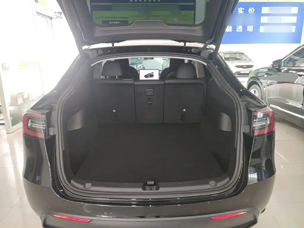 Tesla Model Y — миниатюра 15