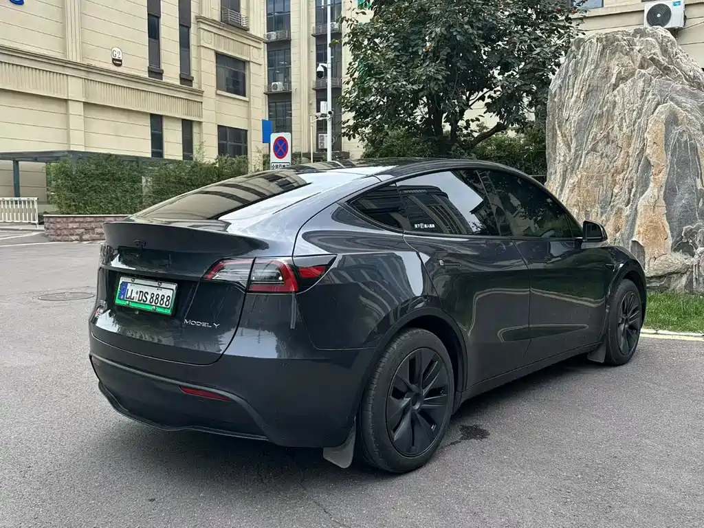 Tesla Model Y — миниатюра 6