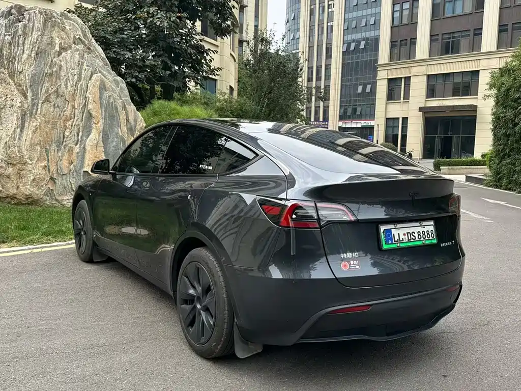 Tesla Model Y — миниатюра 4