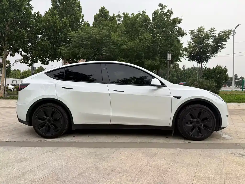 Tesla Model Y — миниатюра 3