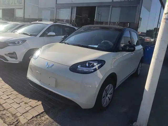 2024 Wuling Motors Binguo
