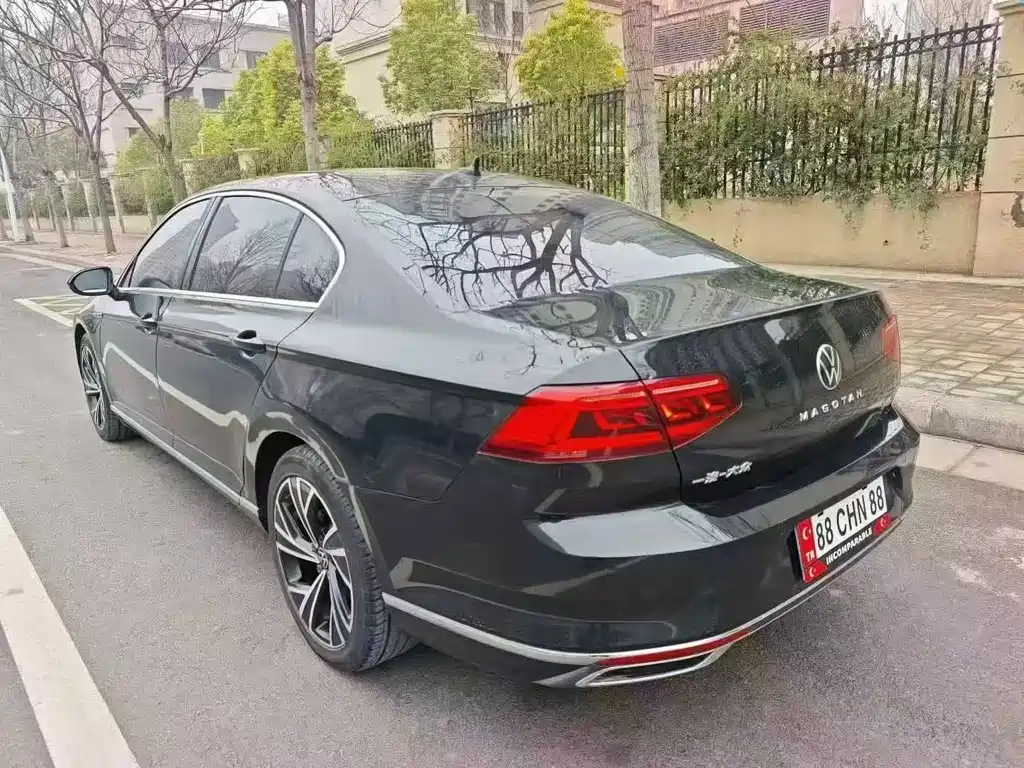 Volkswagen Magotan 2020 330TSI DSG Luxury