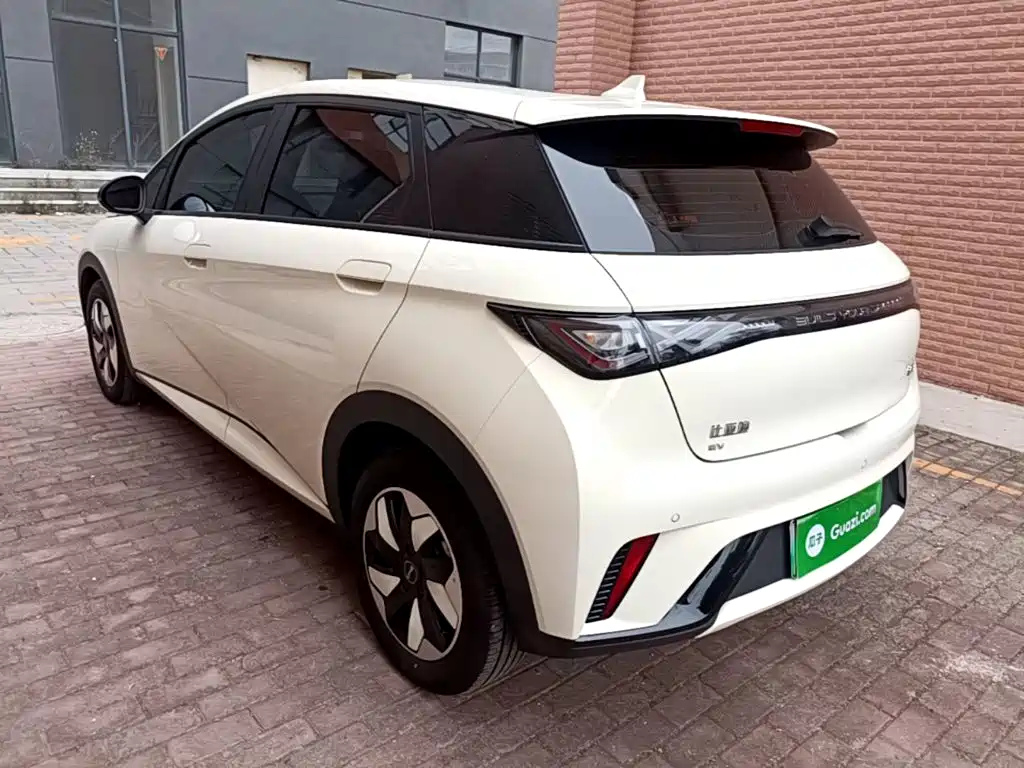 BYD Dolphin — миниатюра 5