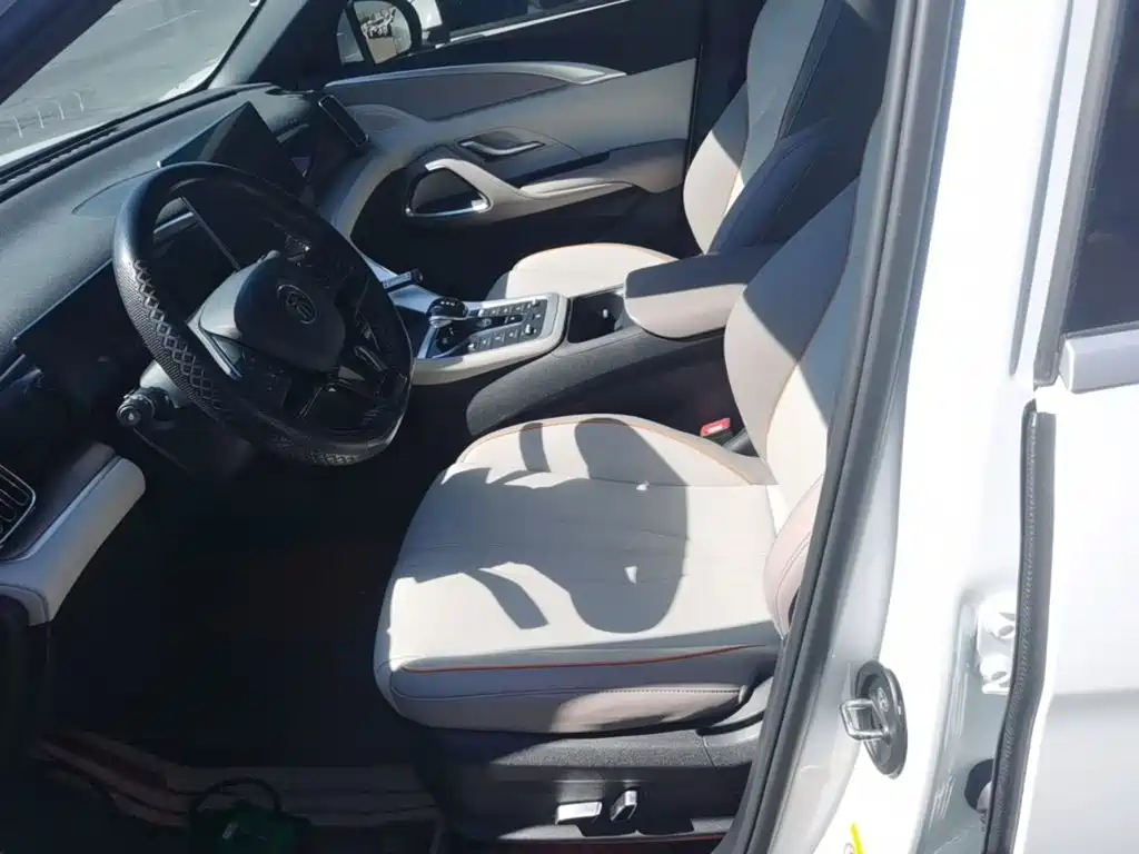 BYD Pro New Energy — миниатюра 15