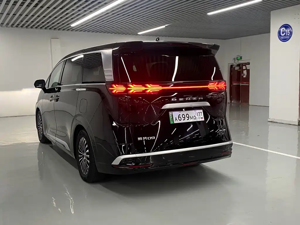 Denza Denza D9 — миниатюра 7
