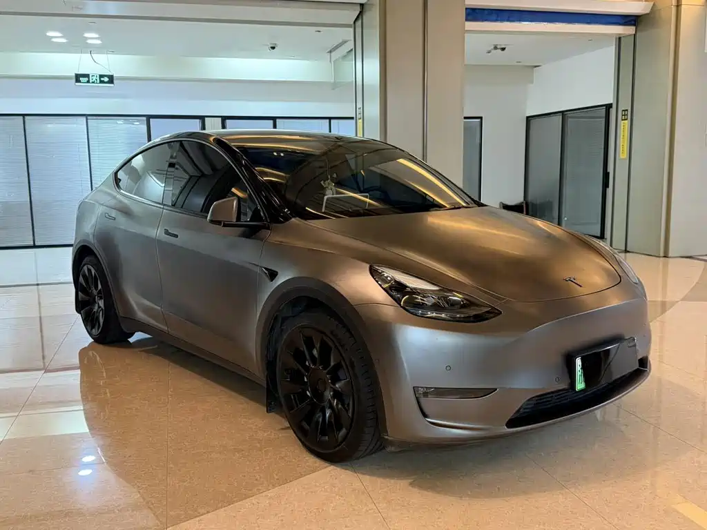 Tesla Model Y — миниатюра 3