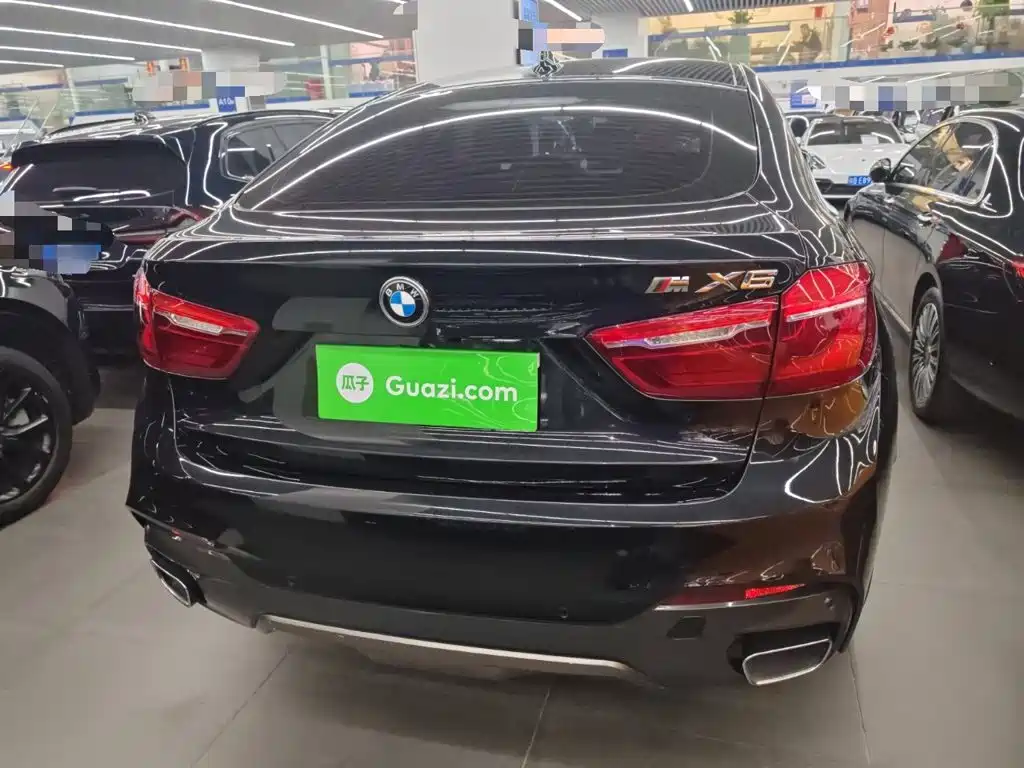 BMW X6 — миниатюра 20