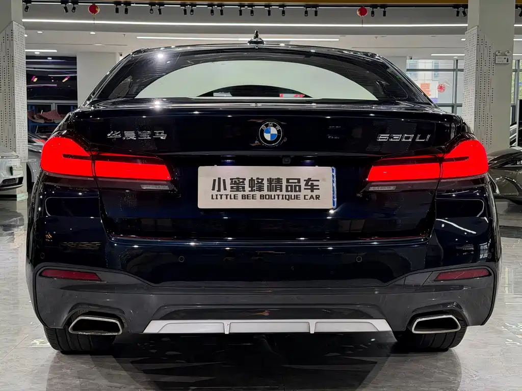 BMW 5 Series — миниатюра 15