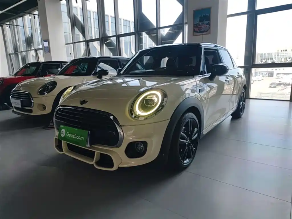 Mini Mini 2020