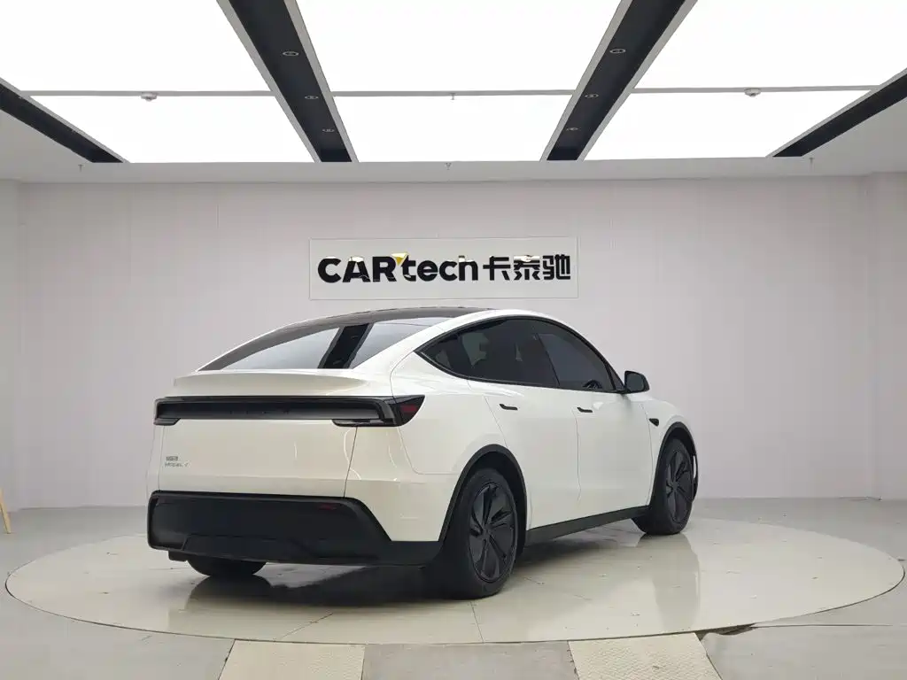 Tesla Model Y — миниатюра 4