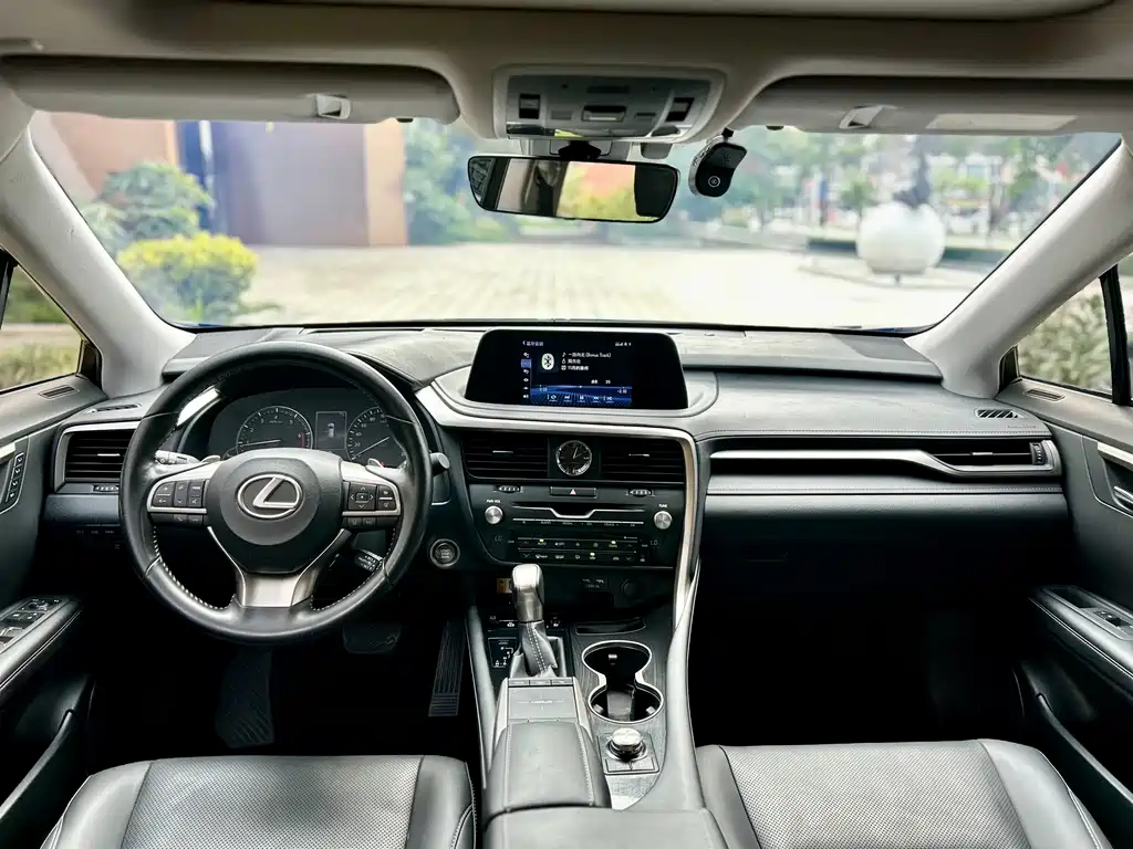 Lexus RX 2020 300 Elegant VI
