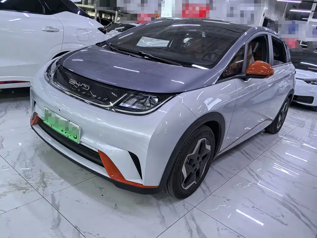 2023 BYD Dolphin - zdjęcie 1 z 11