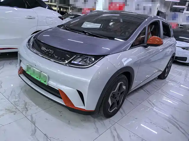 2023 BYD Dolphin
