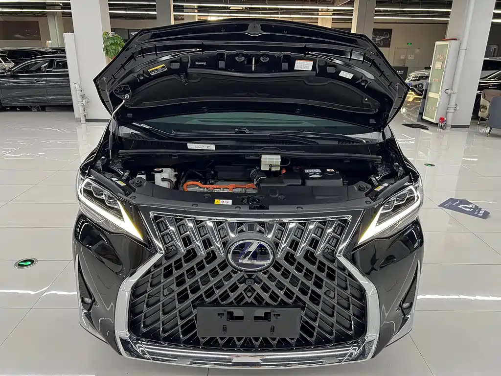 Lexus LM — миниатюра 26