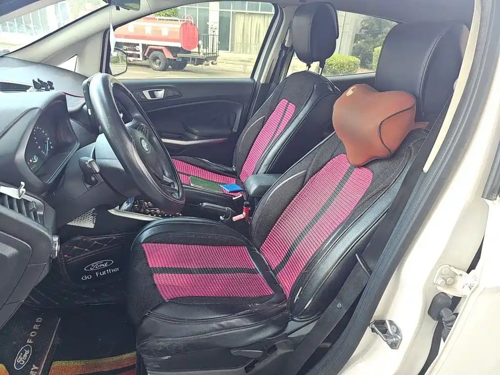 Ford Ecosport — миниатюра 11