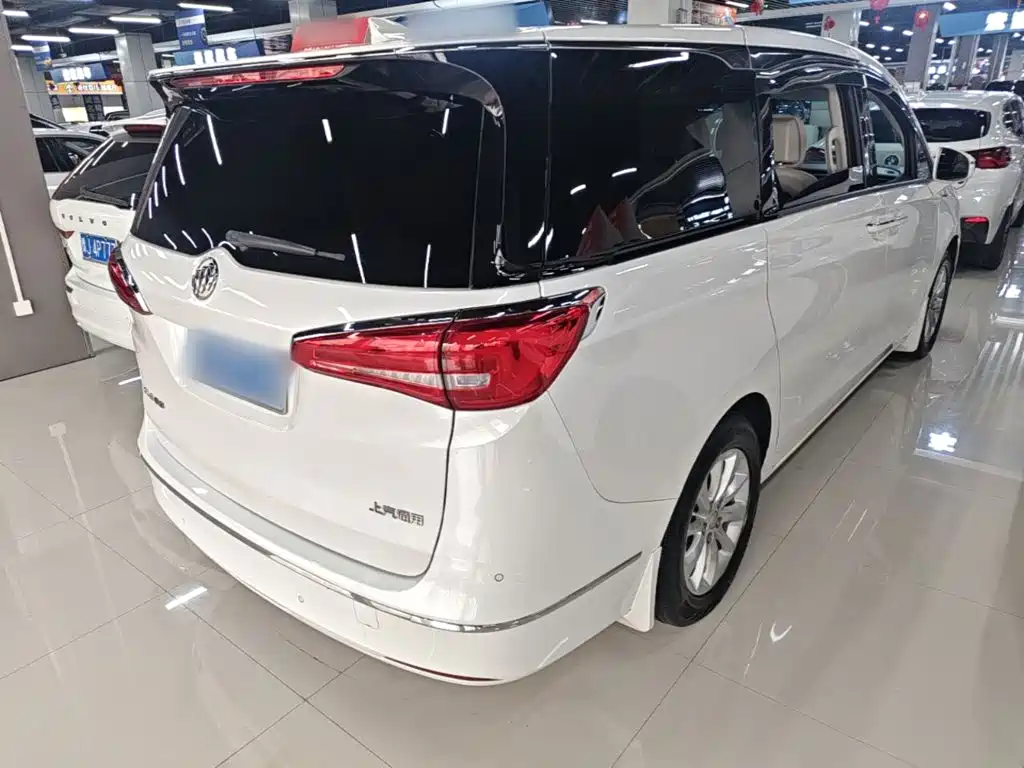Buick GL8 — миниатюра 7