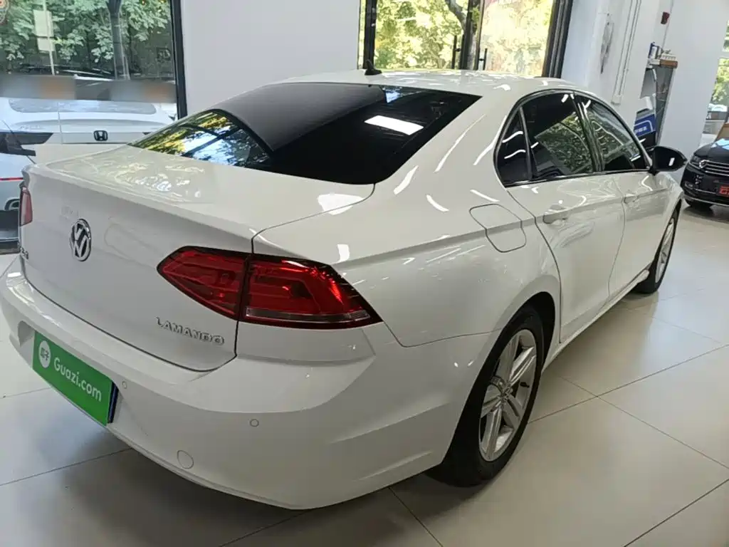 Volkswagen Lamando — миниатюра 7