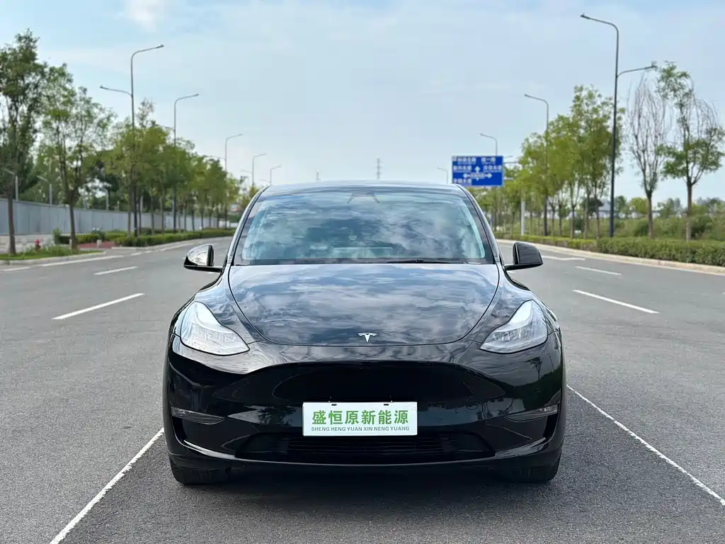 Tesla Model Y — миниатюра 2