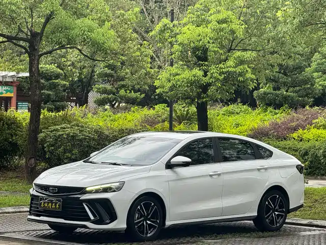2023 Geely Binrui