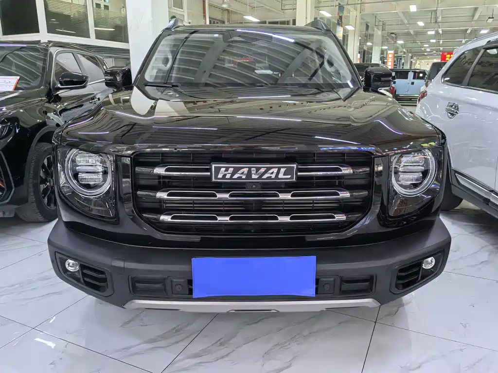 Haval Big Dog — миниатюра 2