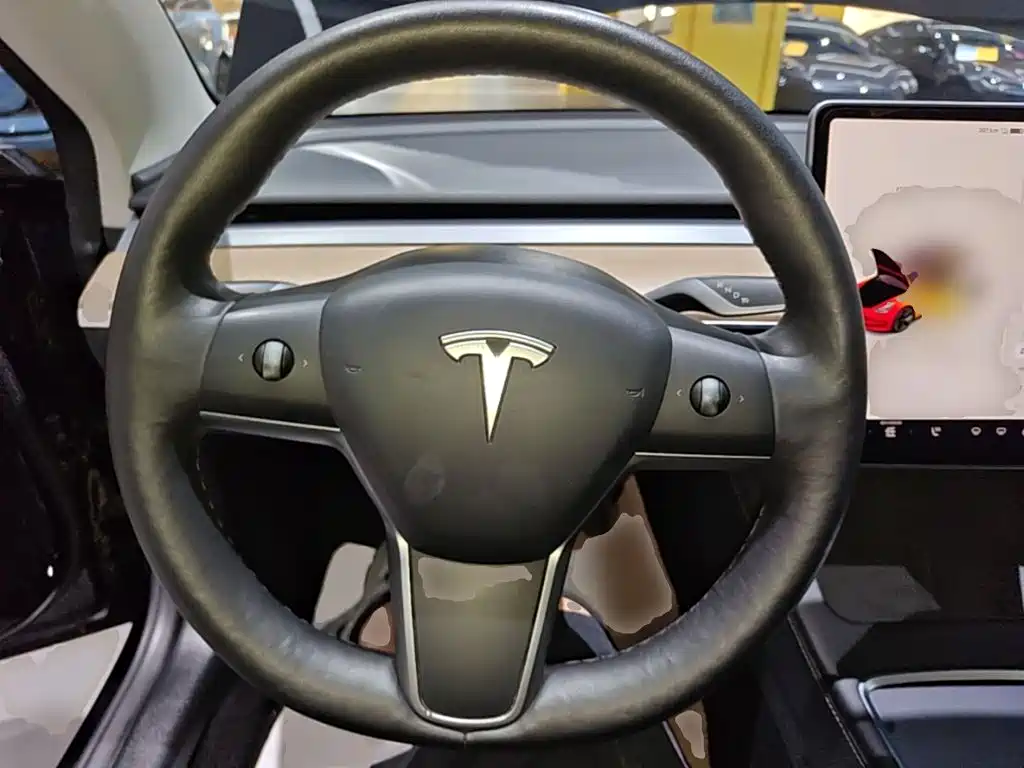 Tesla Model 3 — миниатюра 11