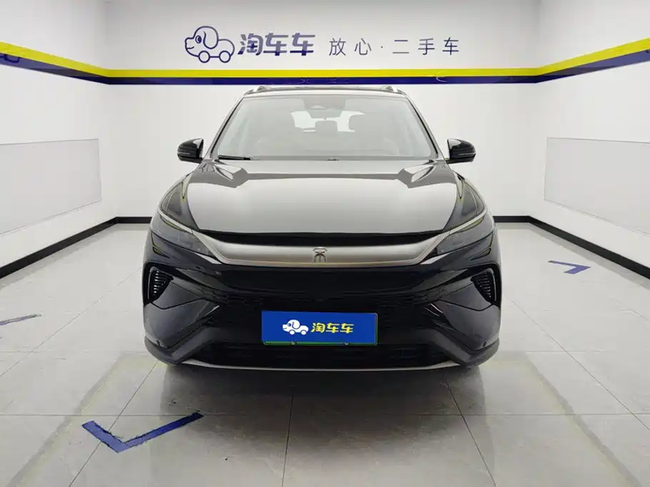 BYD Pro New Energy — миниатюра 2