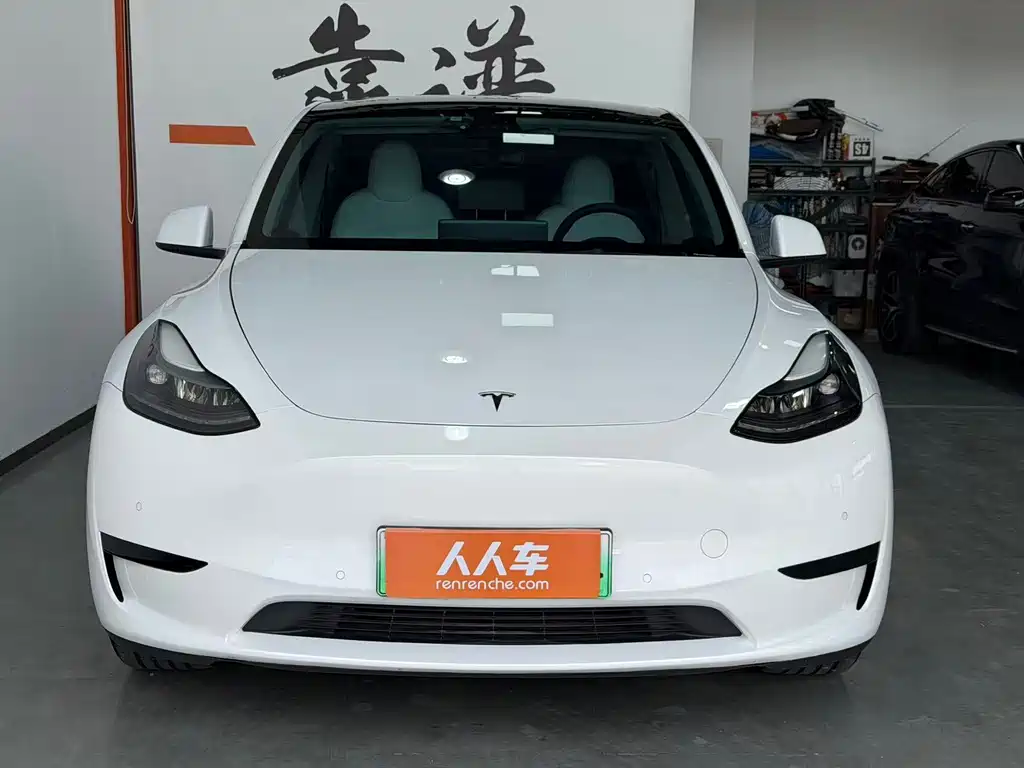 Tesla Model Y — миниатюра 2
