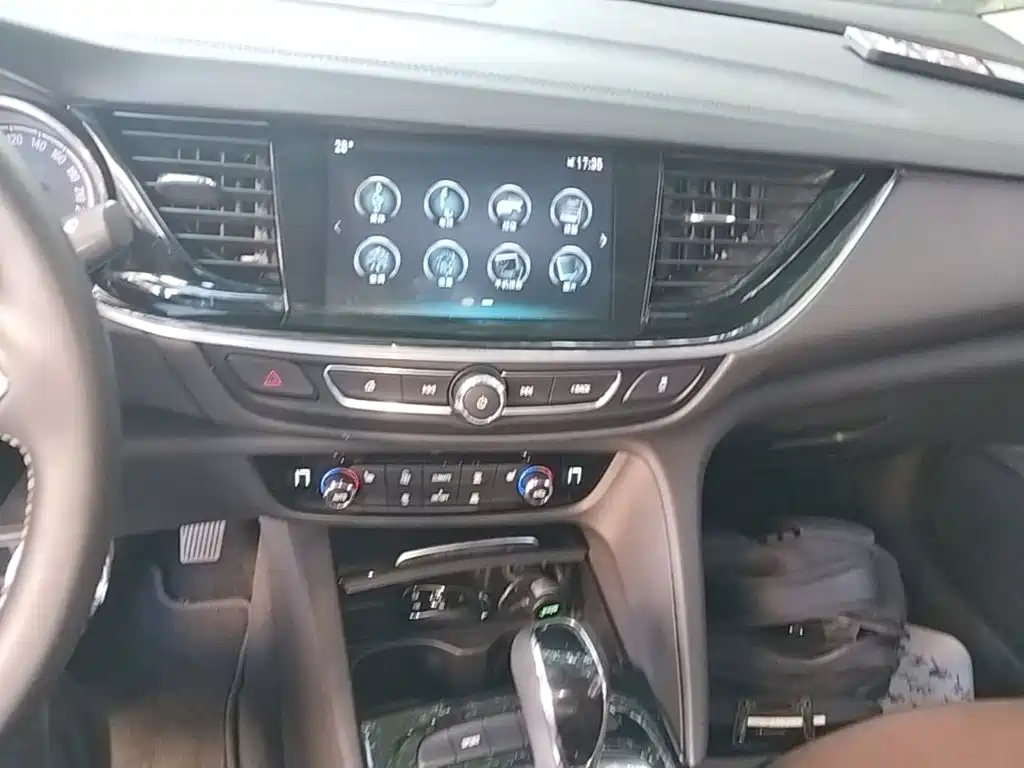 Buick Regal — миниатюра 13