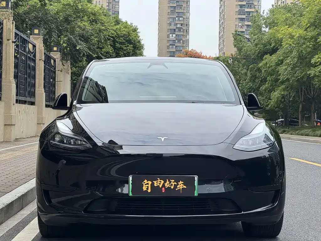 Tesla Model Y — миниатюра 2