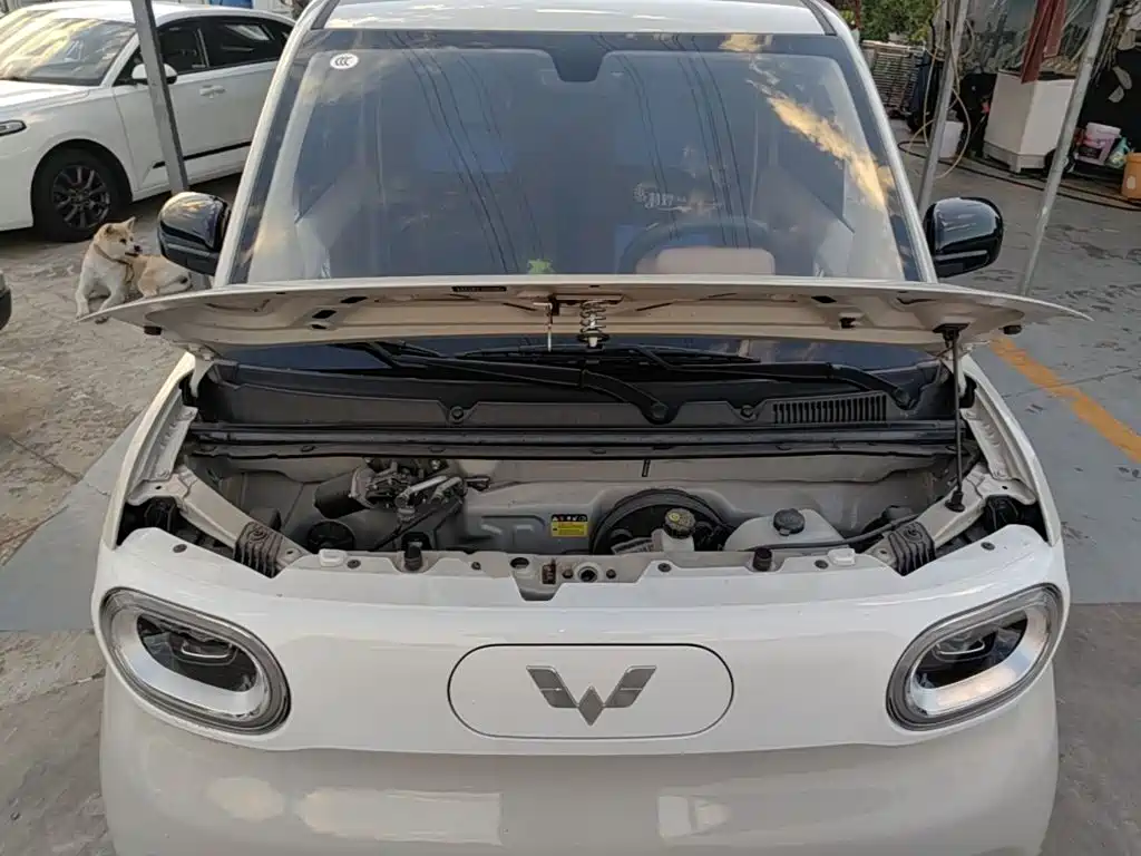 Wuling MINIEV — миниатюра 20