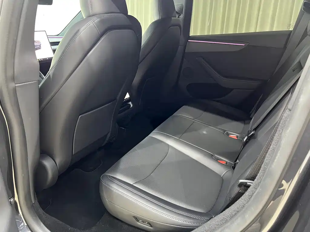 Tesla Model Y — миниатюра 8