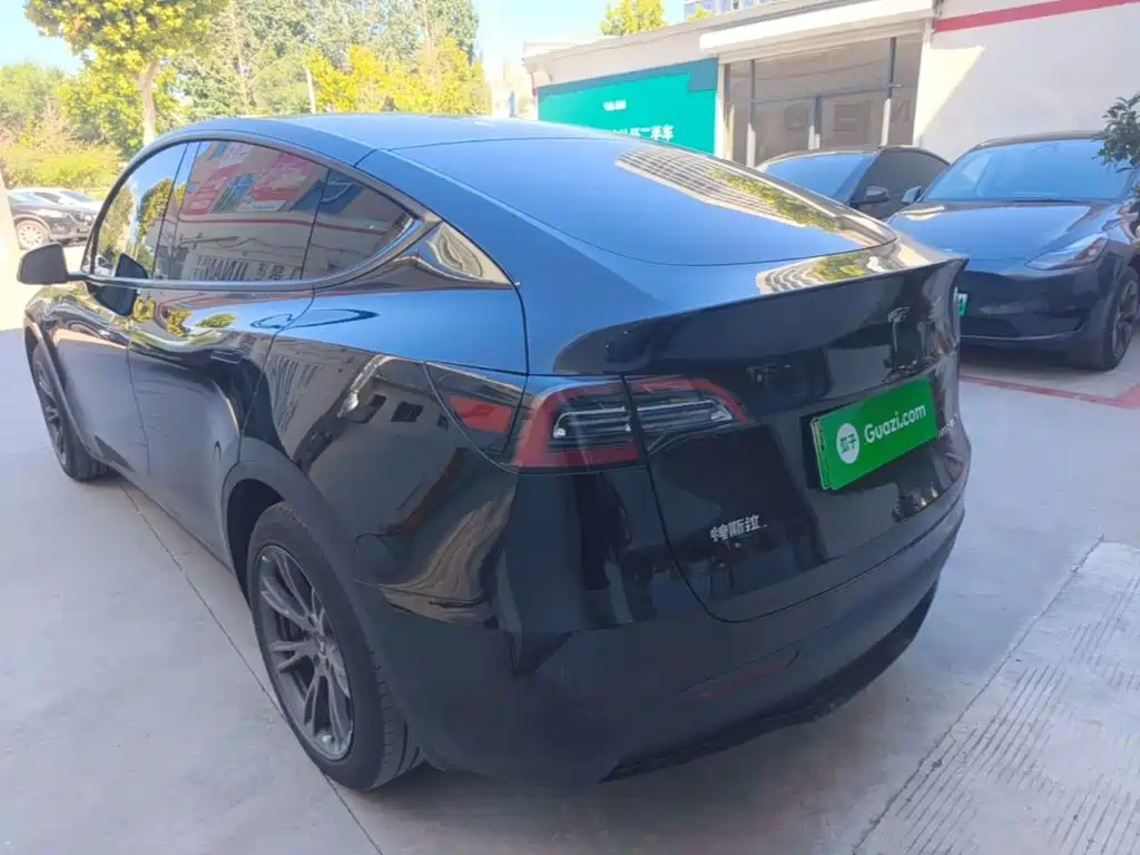 Tesla Model Y — миниатюра 5