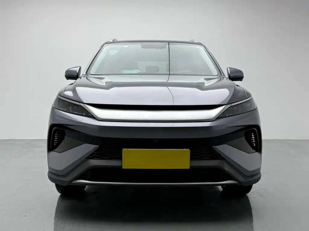 BYD Pro New Energy — миниатюра 2