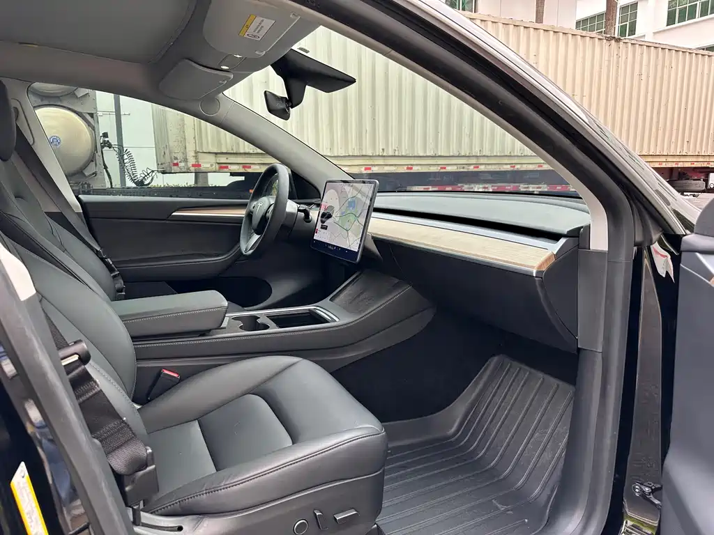 Tesla Model Y — миниатюра 10