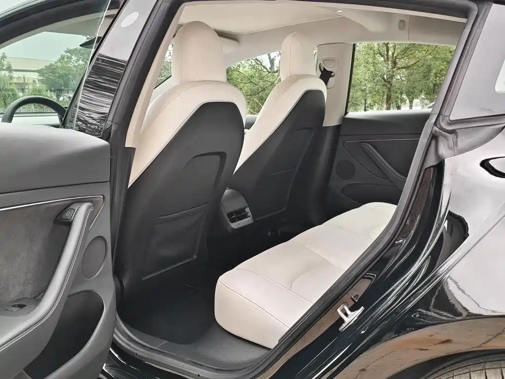 Tesla Model 3 — миниатюра 6
