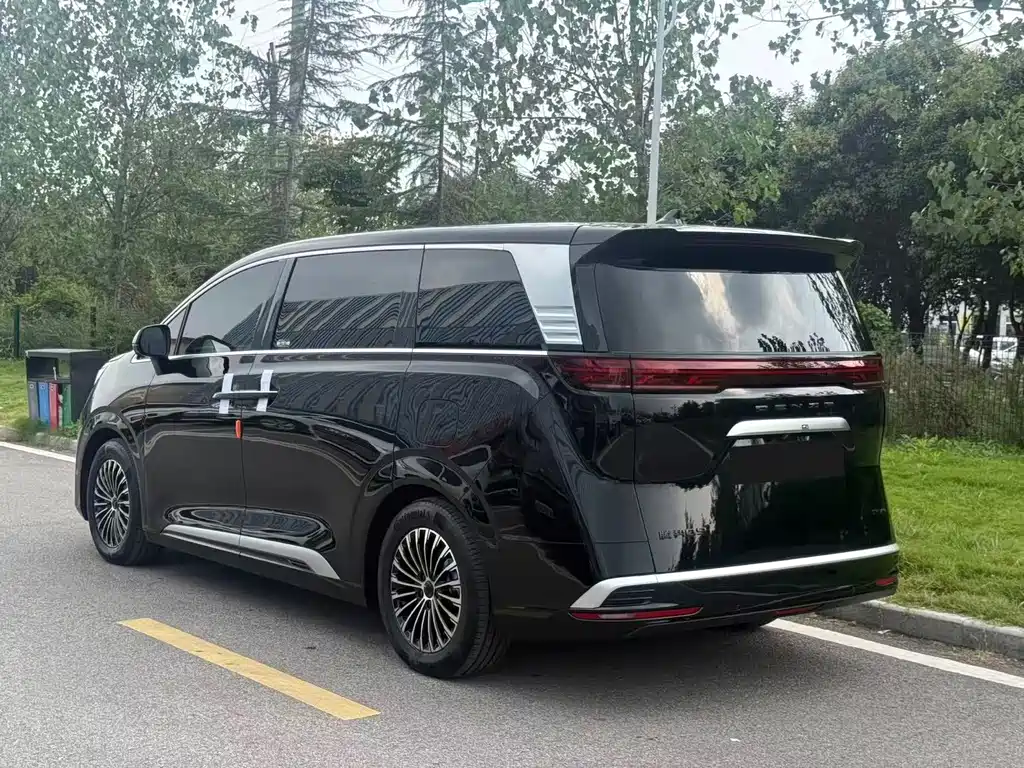 Denza Denza D9 — миниатюра 11