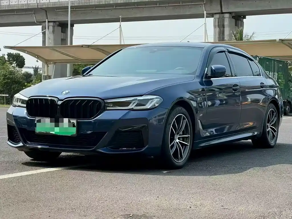 BMW 5 Series New Energy 2021