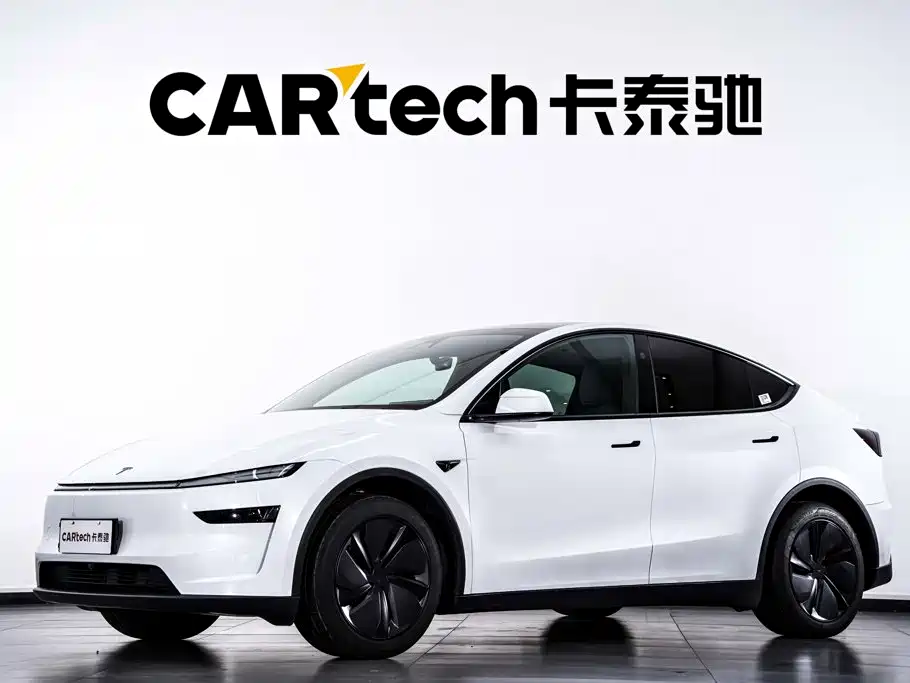 Tesla Model Y — миниатюра 2
