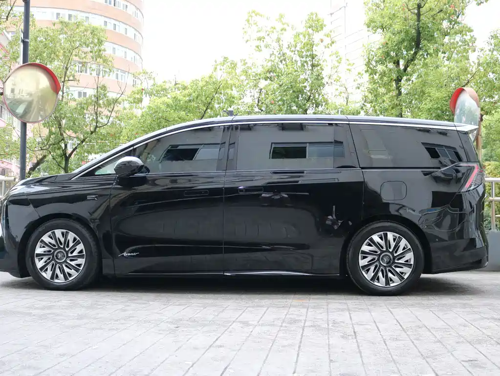 Buick Electra Encasa — миниатюра 2