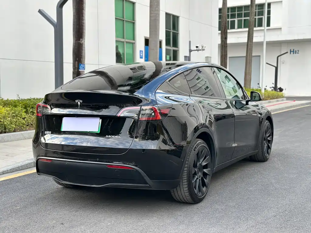 Tesla Model Y — миниатюра 8
