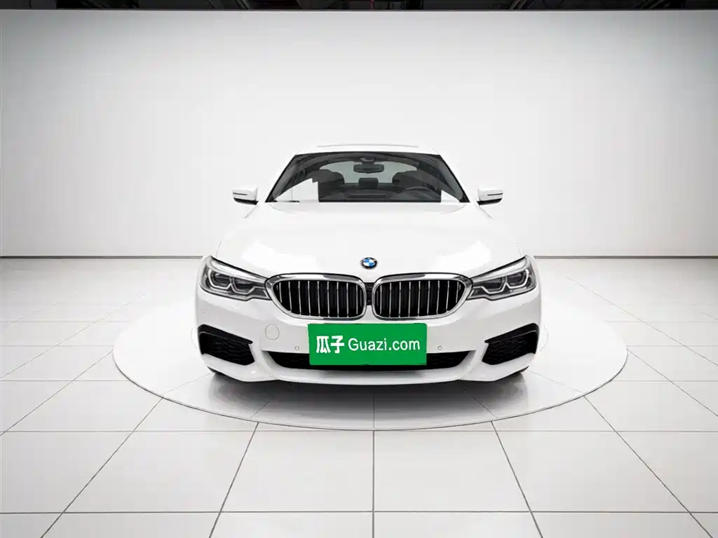 BMW 5 Series 5 2020 530Li Premium M Sport