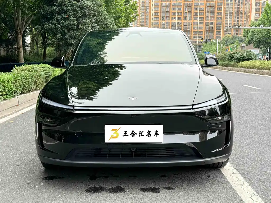 Tesla Model Y — миниатюра 2
