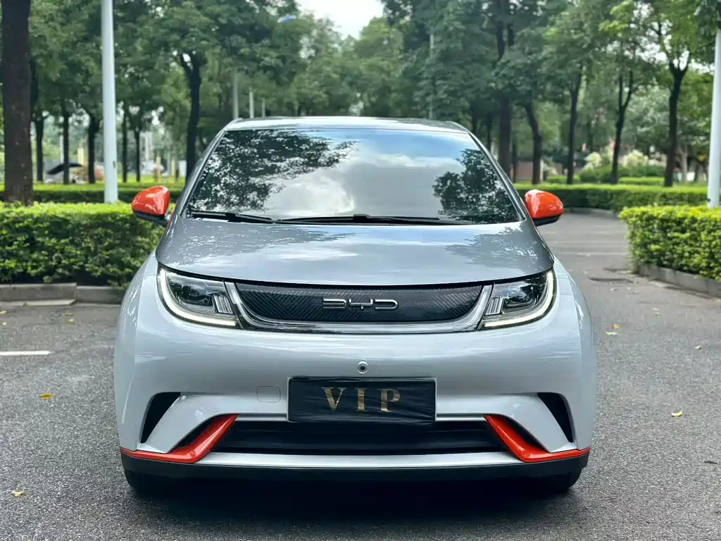 BYD Dolphin — миниатюра 2