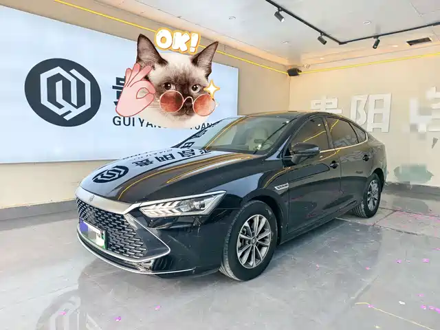 2024 BYD Qin