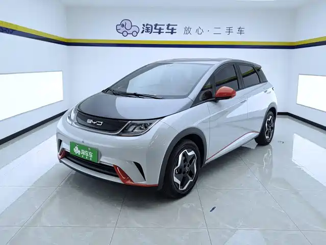 2023 BYD Dolphin