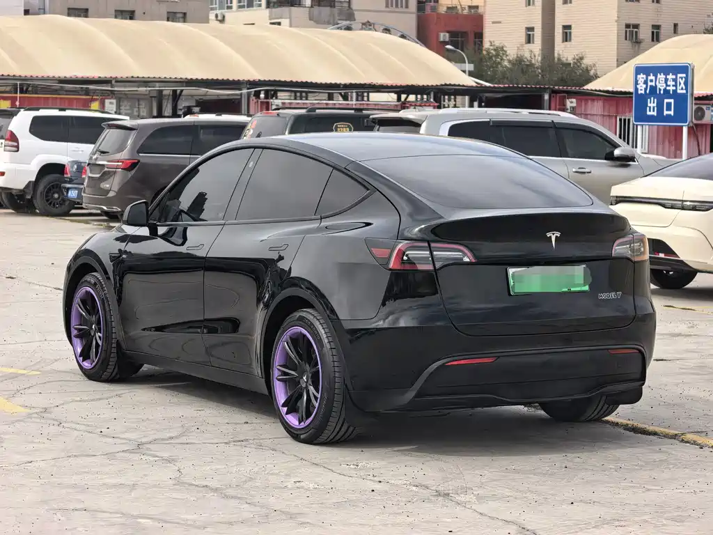 Tesla Model Y — миниатюра 9