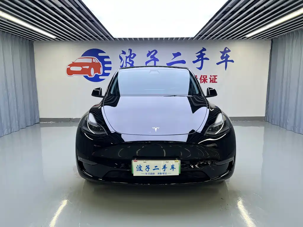 Tesla Model Y — миниатюра 2